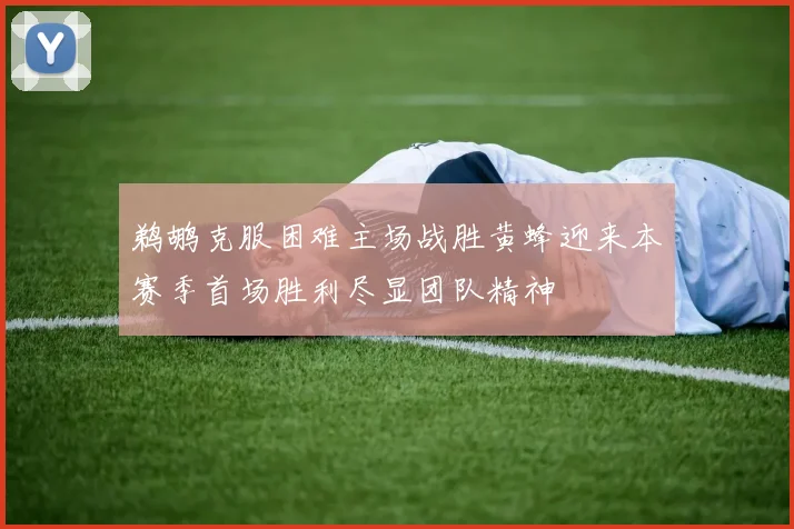 鹈鹕克服困难主场战胜黄蜂迎来本赛季首场胜利尽显团队精神